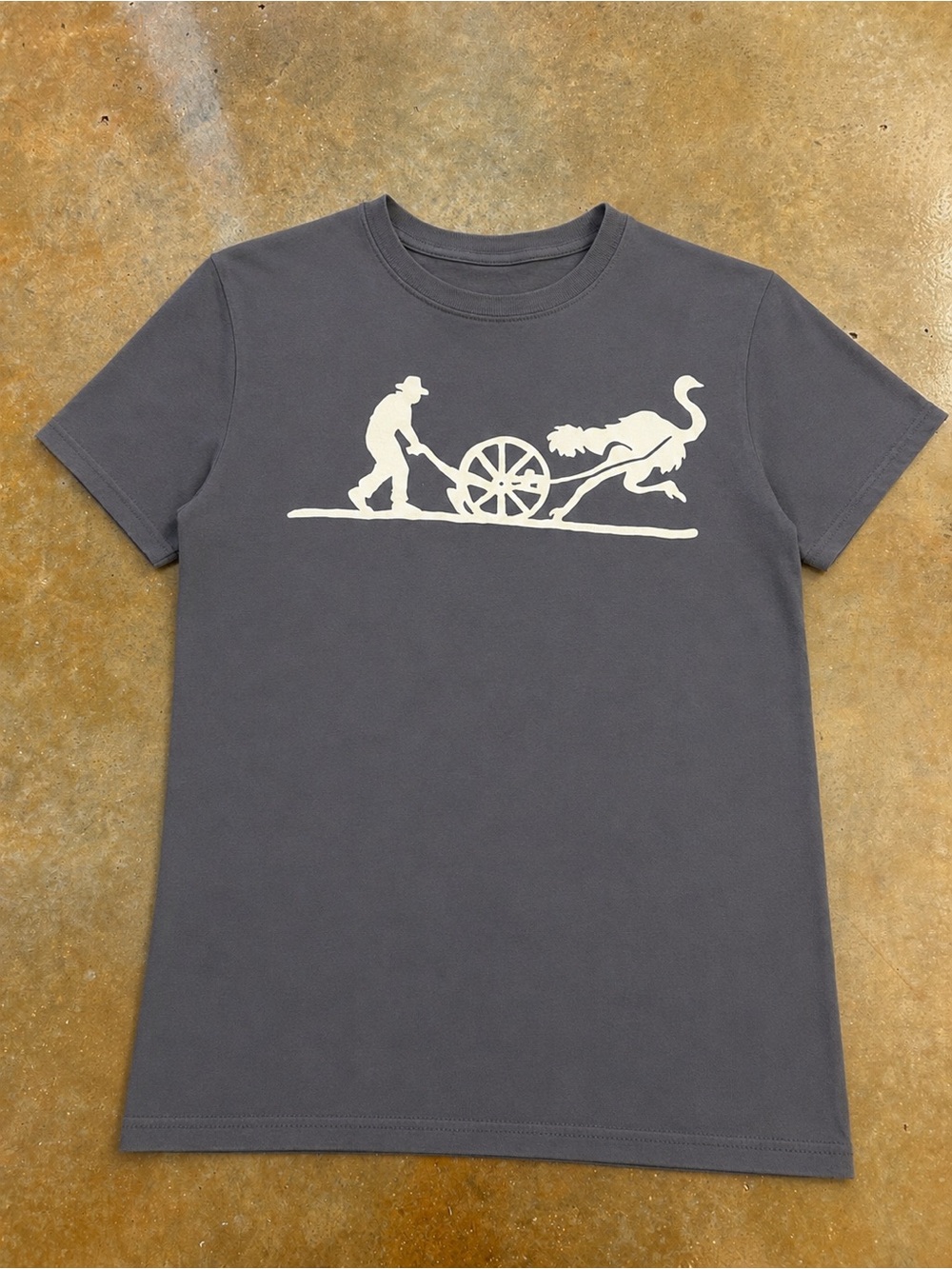 Gray Graphic Crewneck T-Shirt - Cream Print